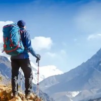 WildStone Solution