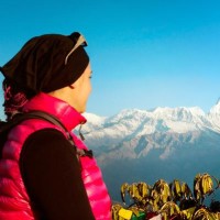 Climbing Expert Guide 2